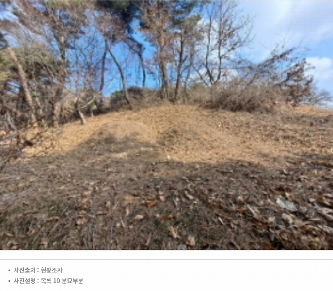 2024타경51064 충청남도 서산시 해미면 반양리 242-13 임야 경매 이미지