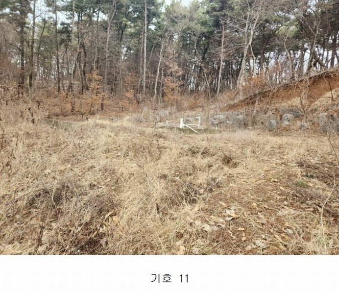 2024타경51064 충청남도 서산시 해미면 반양리 242-13 임야 경매 이미지