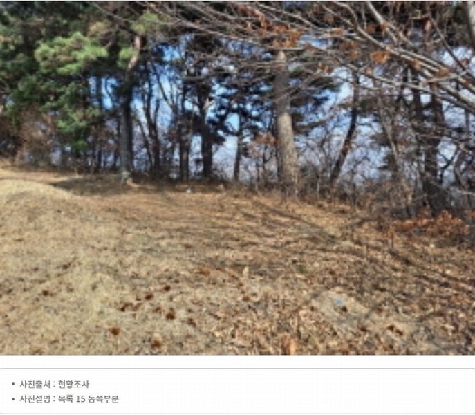 2024타경51064 충청남도 서산시 해미면 반양리 242-13 임야 경매 이미지