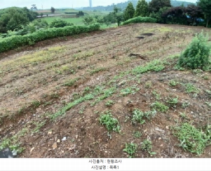 2025타경51447 충청남도 당진시 석문면 통정리 163-2 농지 경매 이미지