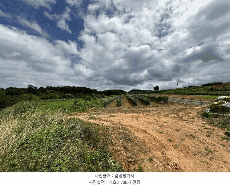 2025타경51447 충청남도 당진시 석문면 통정리 163-2 농지 경매 이미지