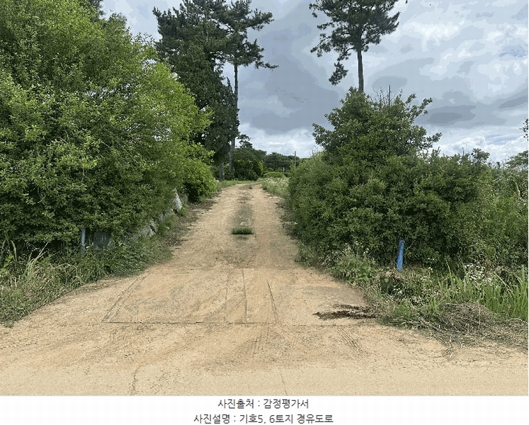 2025타경51447 충청남도 당진시 석문면 통정리 163-2 농지 경매 이미지