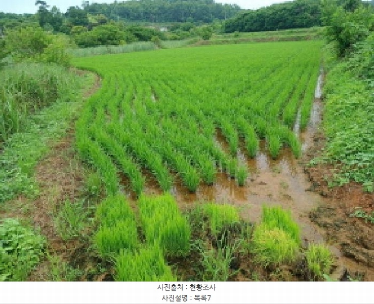 2025타경51447 충청남도 당진시 석문면 통정리 163-2 농지 경매 이미지