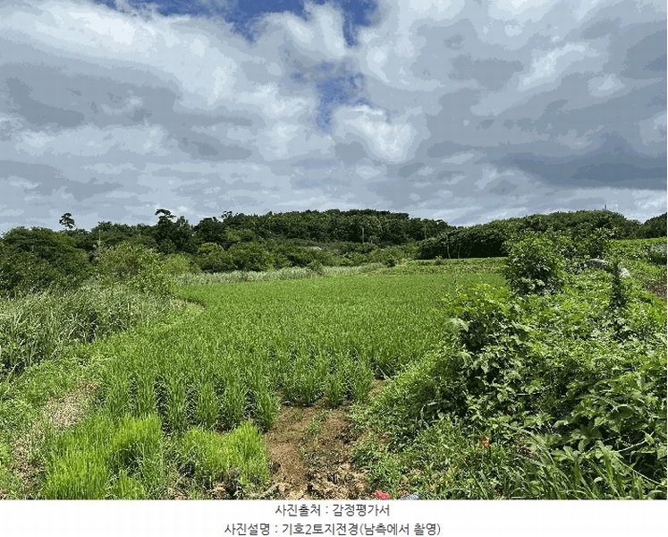 2025타경51447 충청남도 당진시 석문면 통정리 163-2 농지 경매 이미지