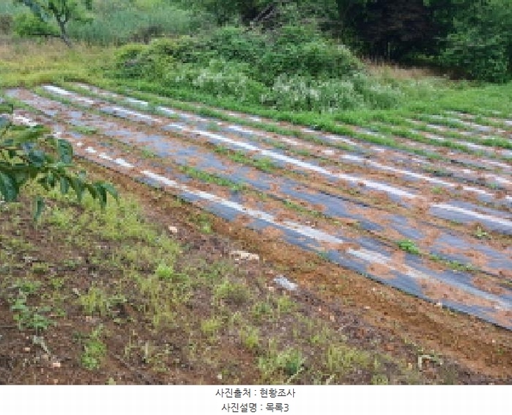 2025타경51447 충청남도 당진시 석문면 통정리 163-2 농지 경매 이미지