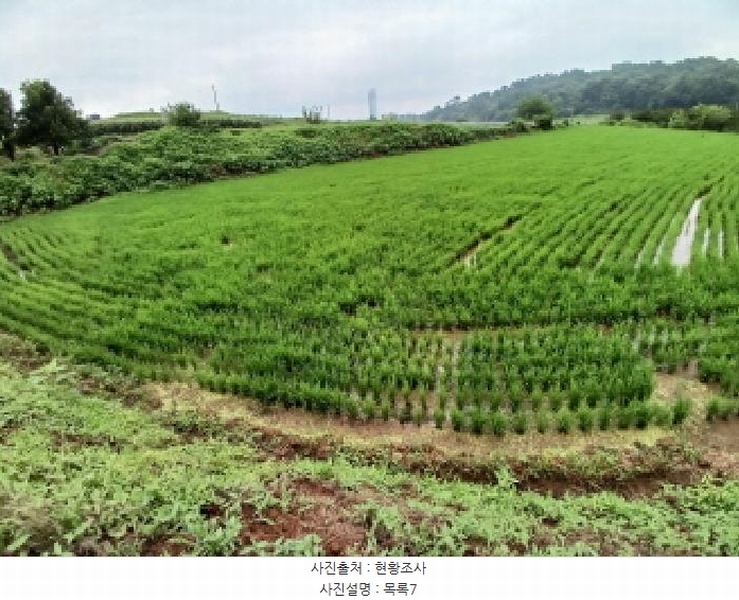 2025타경51447 충청남도 당진시 석문면 통정리 163-2 농지 경매 이미지