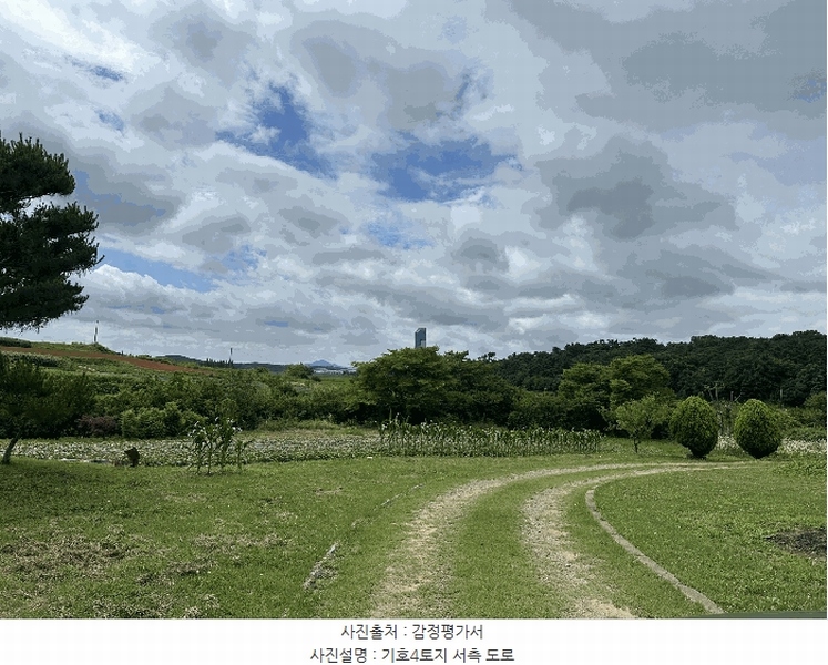2025타경51447 충청남도 당진시 석문면 통정리 163-2 농지 경매 이미지