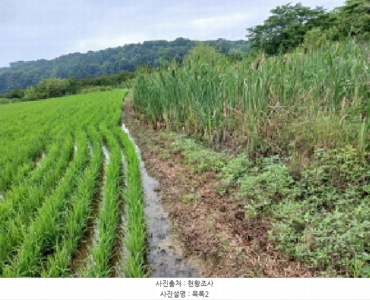 2025타경51447 충청남도 당진시 석문면 통정리 163-2 농지 경매 이미지