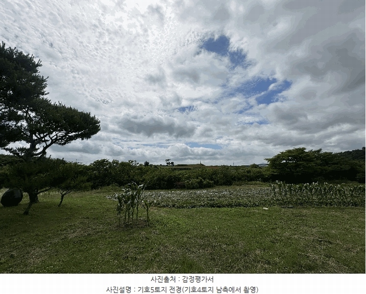 2025타경51447 충청남도 당진시 석문면 통정리 163-2 농지 경매 이미지