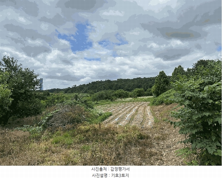2025타경51447 충청남도 당진시 석문면 통정리 163-2 농지 경매 이미지