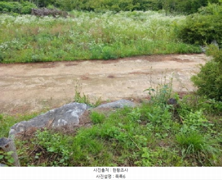 2025타경51447 충청남도 당진시 석문면 통정리 163-2 농지 경매 이미지