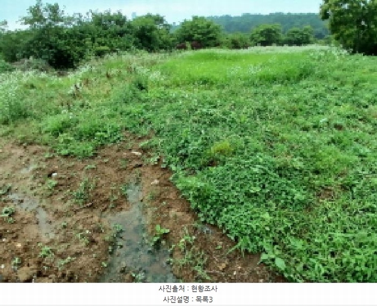 2025타경51447 충청남도 당진시 석문면 통정리 163-2 농지 경매 이미지