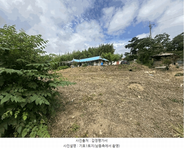 2025타경51447 충청남도 당진시 석문면 통정리 163-2 농지 경매 이미지