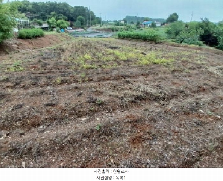 2025타경51447 충청남도 당진시 석문면 통정리 163-2 농지 경매 이미지