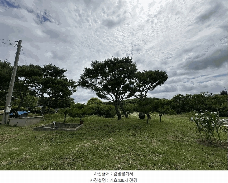 2025타경51447 충청남도 당진시 석문면 통정리 163-2 농지 경매 이미지