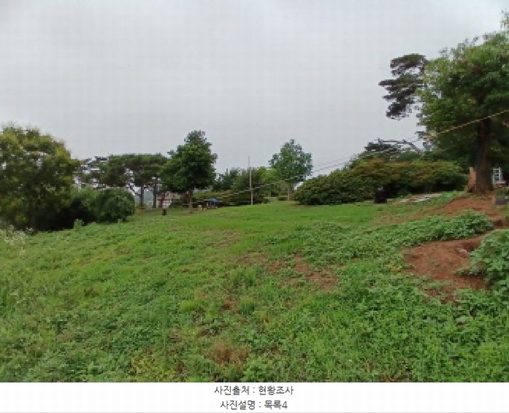 2025타경51447 충청남도 당진시 석문면 통정리 163-2 농지 경매 이미지