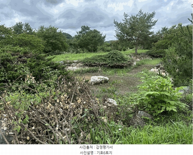 2025타경51447 충청남도 당진시 석문면 통정리 163-2 농지 경매 이미지