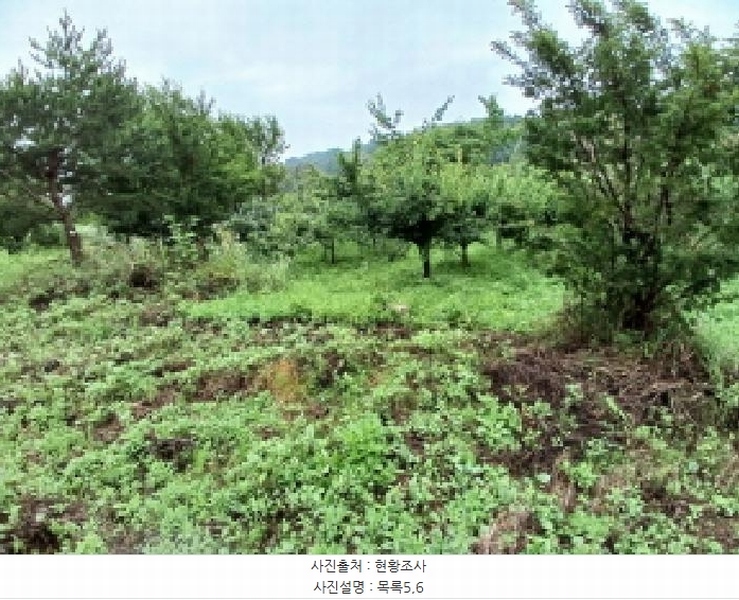 2025타경51447 충청남도 당진시 석문면 통정리 163-2 농지 경매 이미지