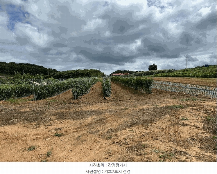2025타경51447 충청남도 당진시 석문면 통정리 163-2 농지 경매 이미지