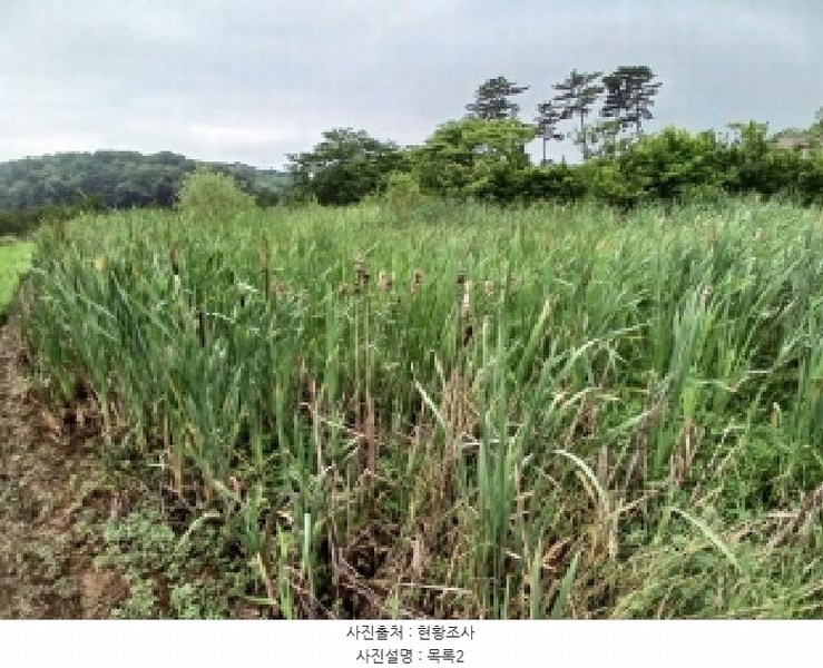 2025타경51447 충청남도 당진시 석문면 통정리 163-2 농지 경매 이미지