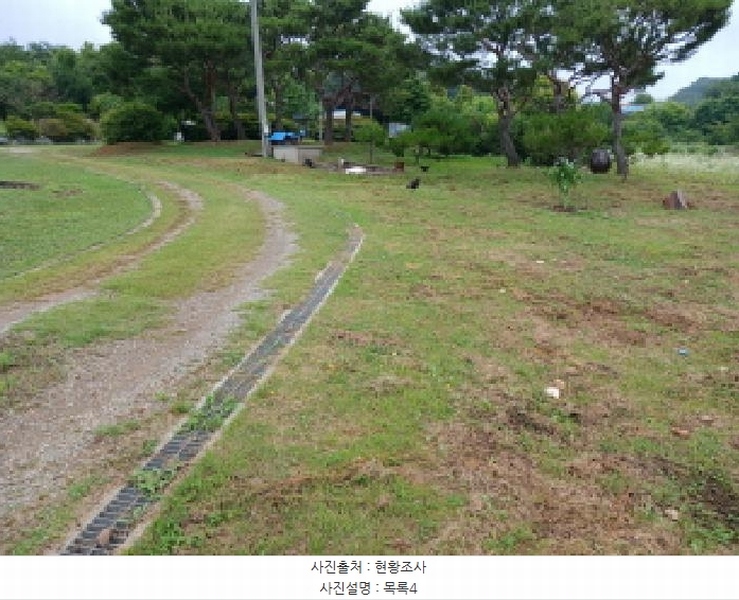 2025타경51447 충청남도 당진시 석문면 통정리 163-2 농지 경매 이미지