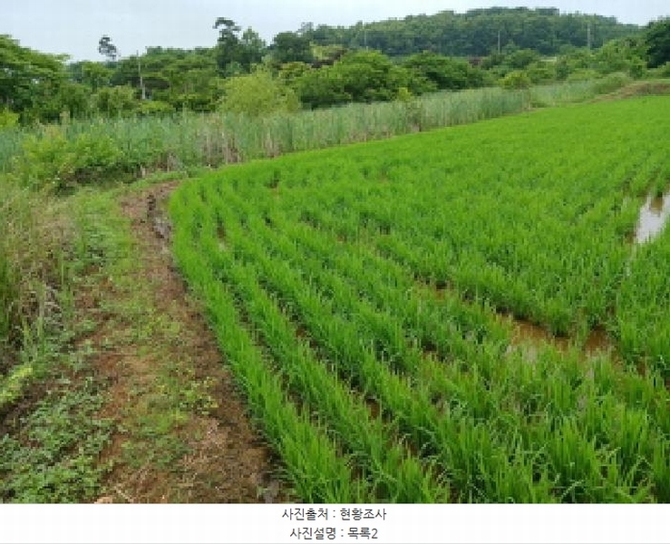 2025타경51447 충청남도 당진시 석문면 통정리 163-2 농지 경매 이미지