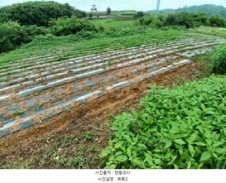 2025타경51447 충청남도 당진시 석문면 통정리 163-2 농지 경매 이미지