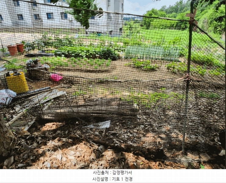 2025타경30620 충청북도 음성군 금왕읍 내송리 70-1 임야 경매 이미지