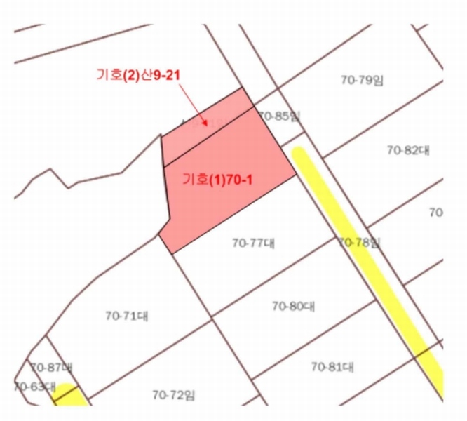 2025타경30620 충청북도 음성군 금왕읍 내송리 70-1 임야 경매 이미지