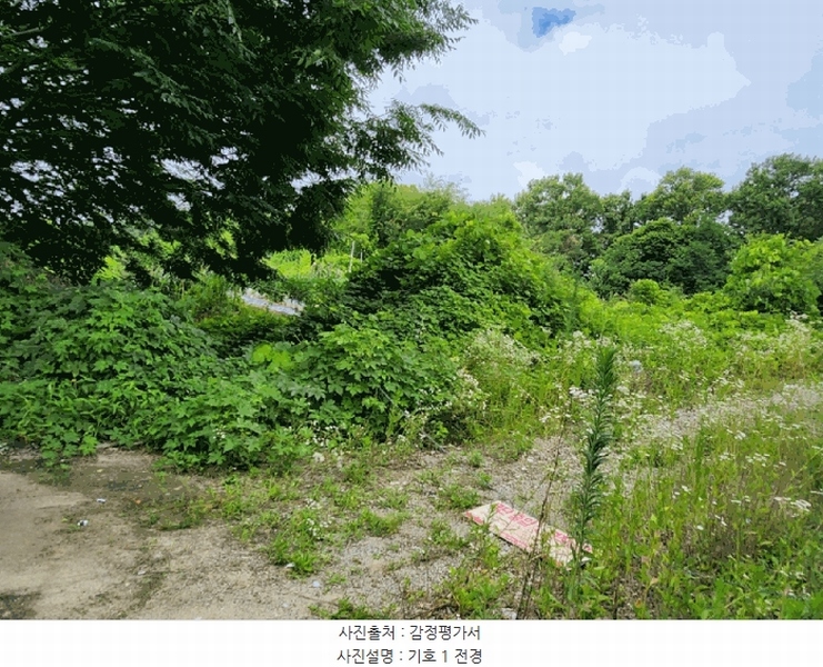 2025타경30620 충청북도 음성군 금왕읍 내송리 70-1 임야 경매 이미지