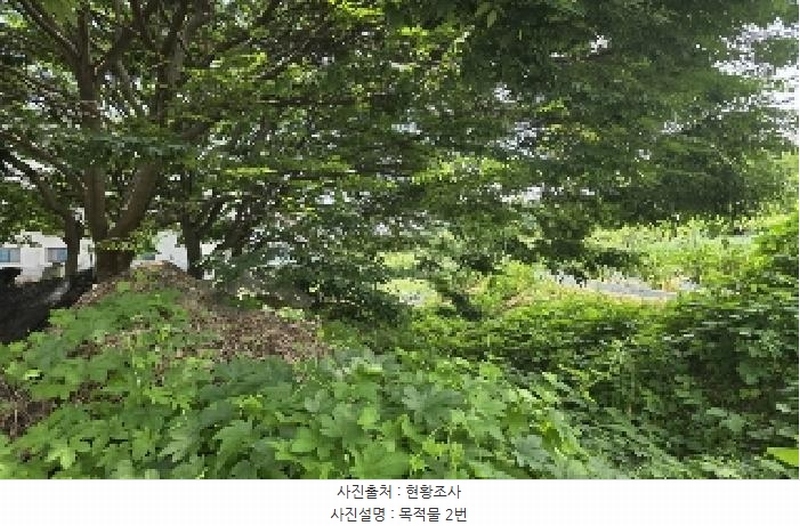 2025타경30620 충청북도 음성군 금왕읍 내송리 70-1 임야 경매 이미지