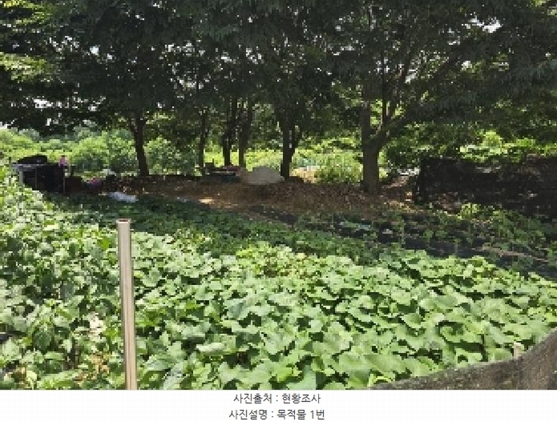 2025타경30620 충청북도 음성군 금왕읍 내송리 70-1 임야 경매 이미지