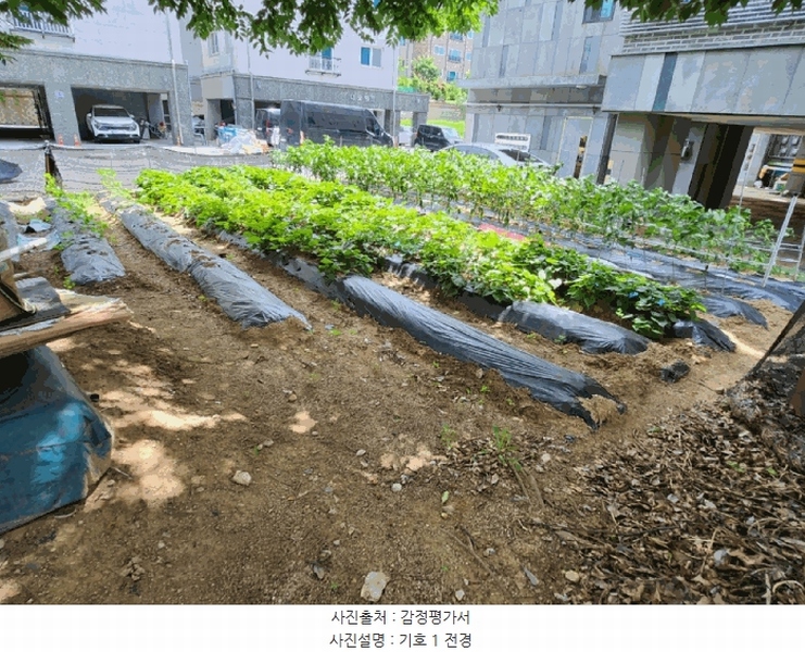 2025타경30620 충청북도 음성군 금왕읍 내송리 70-1 임야 경매 이미지