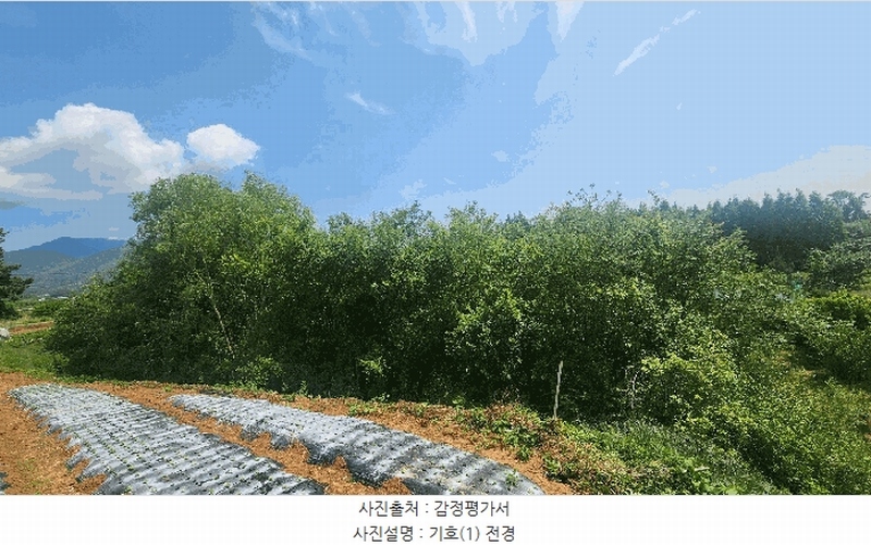 2025타경30842 경상남도 사천시 용현면 송지리 59-2 농지 경매 이미지