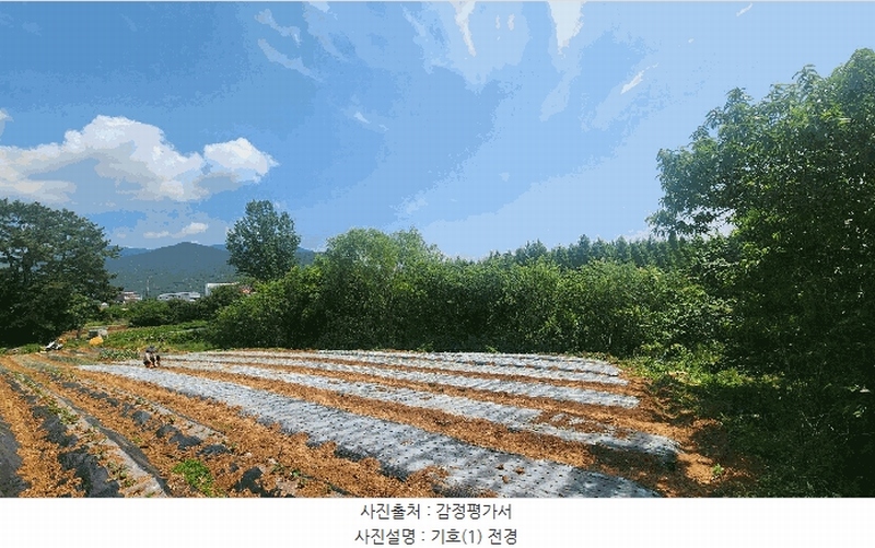 2025타경30842 경상남도 사천시 용현면 송지리 59-2 농지 경매 이미지