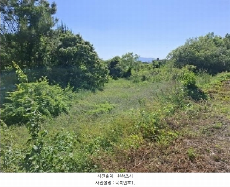 2025타경30842 경상남도 사천시 용현면 송지리 59-2 농지 경매 이미지