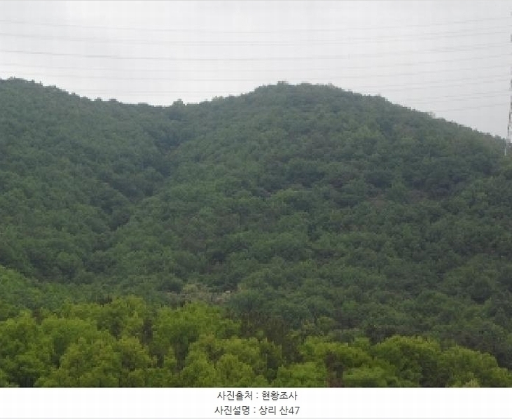 2025타경31098 대구광역시 달성군 논공읍 하리 산47 임야 경매 이미지
