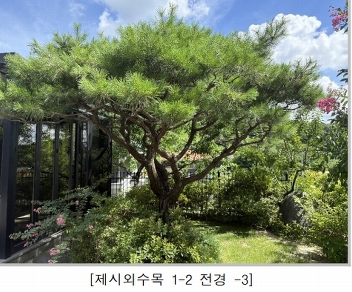 2025타경51465 충청북도 청주시 흥덕구 비하동 613-28 주택 경매 이미지