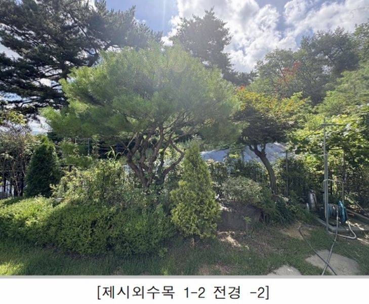 2025타경51465 충청북도 청주시 흥덕구 비하동 613-28 주택 경매 이미지