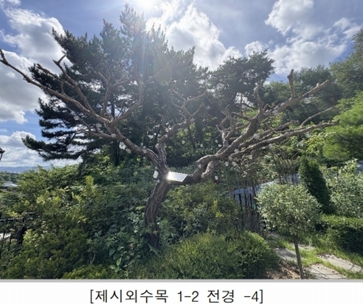 2025타경51465 충청북도 청주시 흥덕구 비하동 613-28 주택 경매 이미지