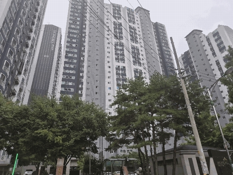 2025타경31616 대구광역시 달서구 조암남로 24, 태왕아너스월성 102동 8층 805호 아파트[공급47평형] 경매 이미지