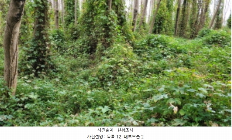 2024타경5467 경기도 김포시 월곶면 개곡리 193-4 임야 경매 이미지