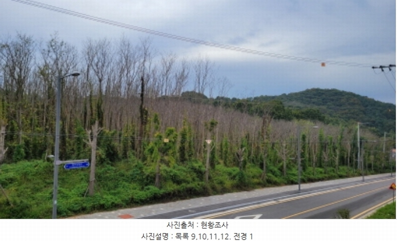 2024타경5467 경기도 김포시 월곶면 개곡리 193-4 임야 경매 이미지
