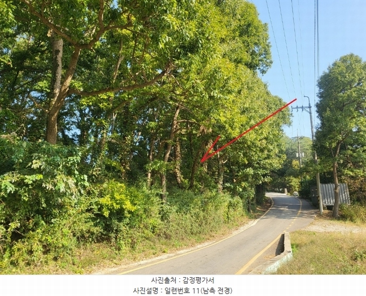 2024타경5467 경기도 김포시 월곶면 개곡리 193-4 임야 경매 이미지