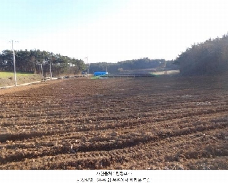 2025타경25 충청남도 서산시 부석면 강당리 47-2 임야 경매 이미지