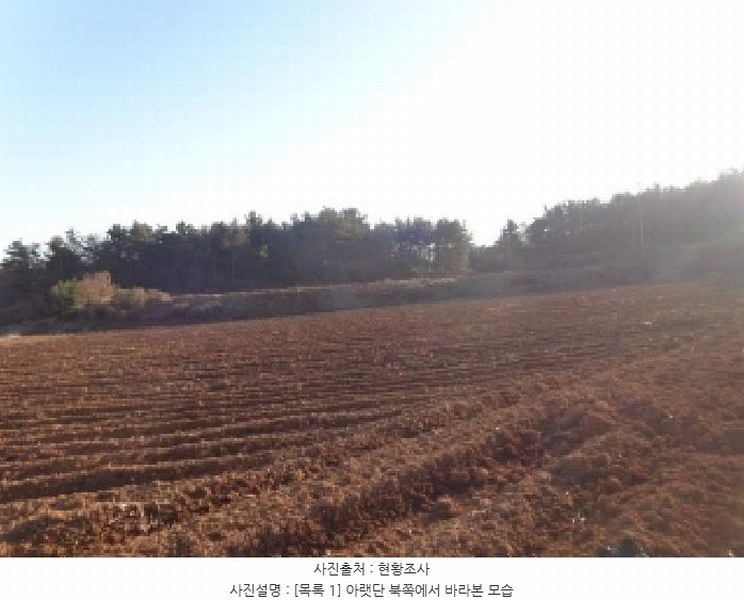 2025타경25 충청남도 서산시 부석면 강당리 47-2 임야 경매 이미지