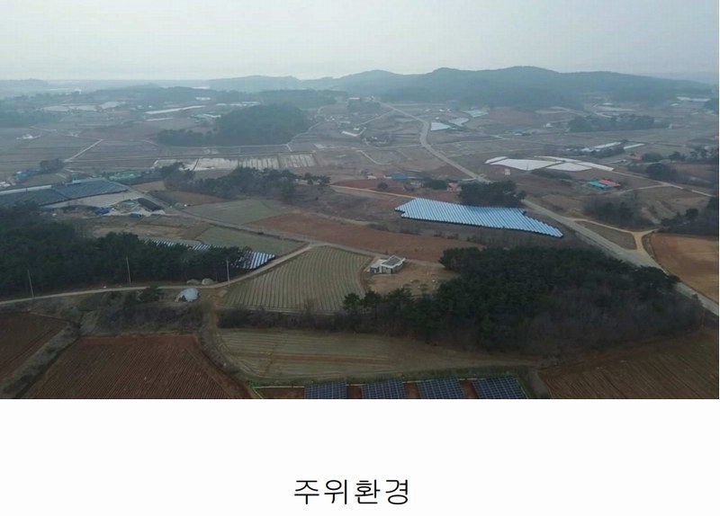 2025타경25 충청남도 서산시 부석면 강당리 47-2 임야 경매 이미지