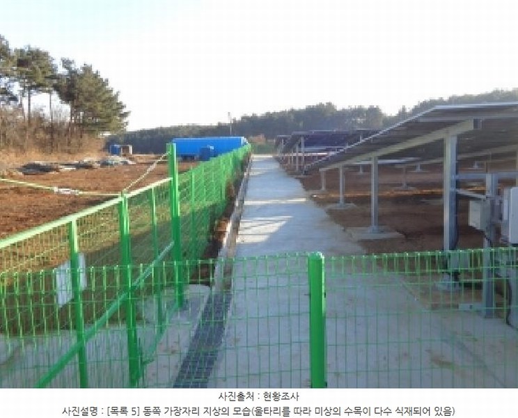 2025타경25 충청남도 서산시 부석면 강당리 47-2 임야 경매 이미지