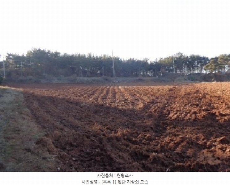 2025타경25 충청남도 서산시 부석면 강당리 47-2 임야 경매 이미지