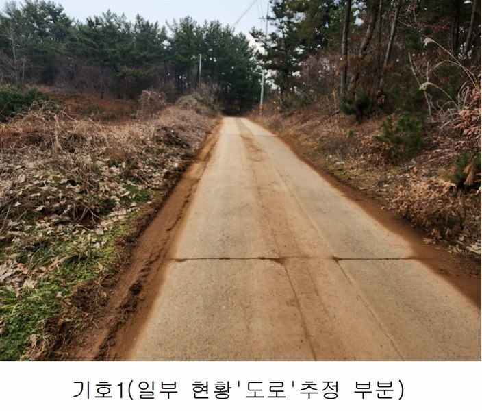 2025타경25 충청남도 서산시 부석면 강당리 47-2 임야 경매 이미지